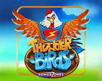 Power Zones: Thunder Birds